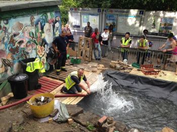 New Leaf pond 22.08.13