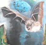bat Chiroptera