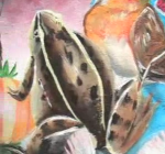 frog Rana temporalia