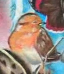 robin Erithacus rubecula