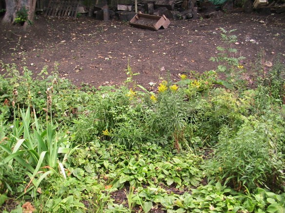 strip of land by West Dulwich railway